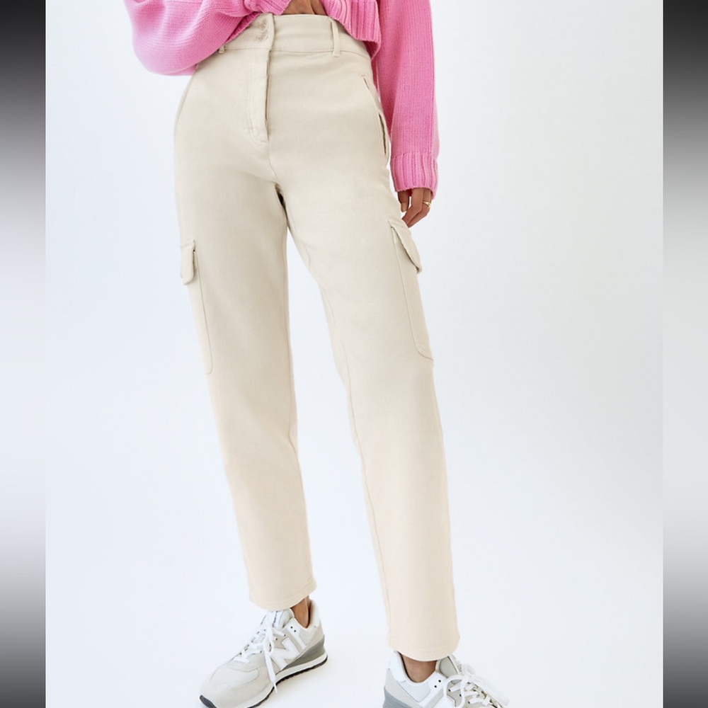 Aritzia Wilfred Free Modern Cargo Pant